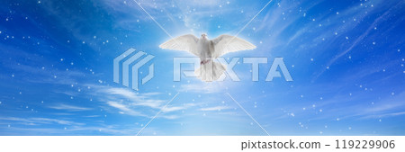 White dove in blue skies White dove in blue skies 119229906