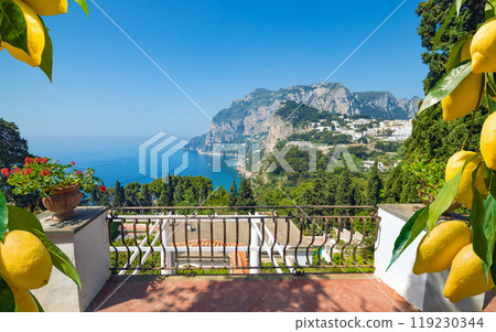 Monte Solaro on Capri Island, Italy. Ripe yellow lemons in foreground. 119230344