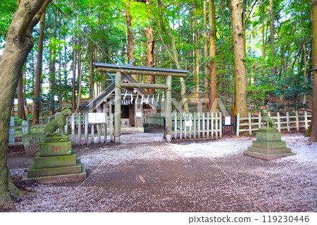 寶登山奧宮狼區 山頂寶登山神社 寶登山神社 119230446
