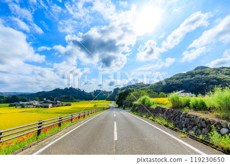 Red spider lilies and early autumn at Tashimoso in Bungotakada, Oita Prefecture 119230650