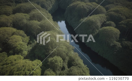 river in amazon forest beautiful landscape 119230770