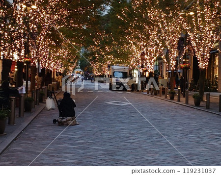 Marunouchi Illuminations 119231037