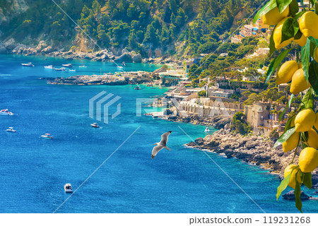 Beautiful Marina Piccola with rocky shore and clear blue sea, Capri Island, Italy 119231268
