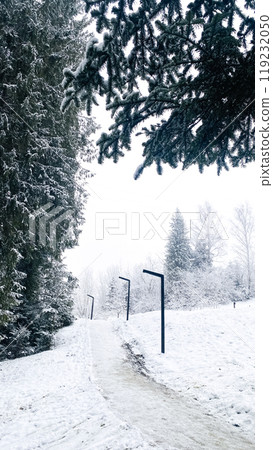 lanterns and a path in a snowy park lanterns and a path in a snowy park 119232050