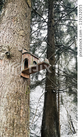 bird feeder on a tree in a snowy forest bird feeder on a tree in a snowy forest 119232055