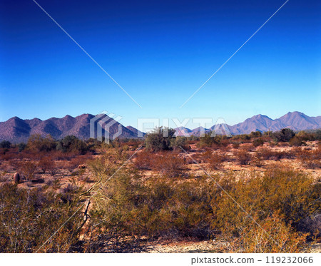 San Tan Mountains Sonora Desert Arizona On Film 119232066