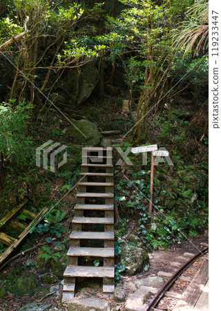 通往 Wilson Stock 的 Okabu 走道入口處的樓梯 119233447