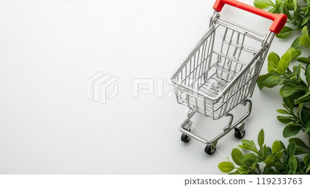 Empty shopping cart on white background with green plants Empty shopping cart on white background with green plants 119233763