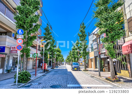 Cityscape of Setagaya Ward, Tokyo - Oyamadai Station 119233803