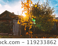Golden autumn in the garden. 119233862
