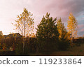 Golden autumn in the garden. 119233864
