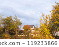 Golden autumn in the garden. 119233866