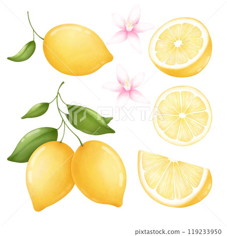 Set of watercolor lemon illustrations hand drawn and isolated on a white background. Yellow lemons on branches, cut ripe fruits and pieces of juicy lemon. 119233950