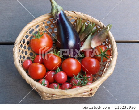 Harvest of home garden Harvest of home garden 119233956