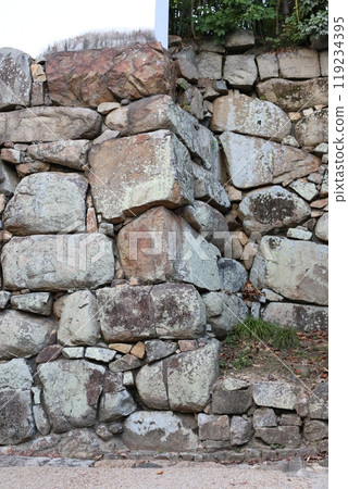 Okayama Castle Ruins 119234395