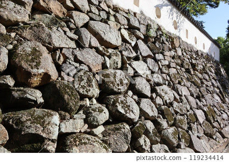 Okayama Castle 119234414