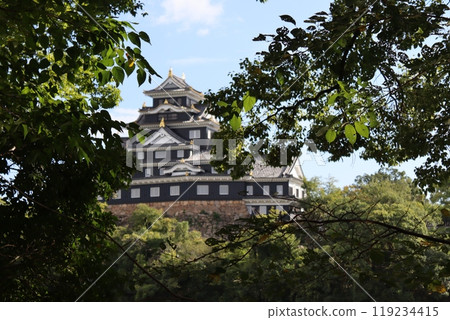 岡山城 119234415