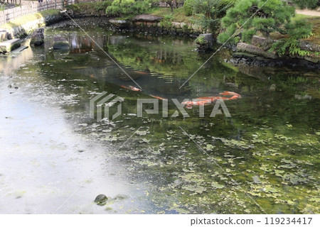 Korakuen 119234417