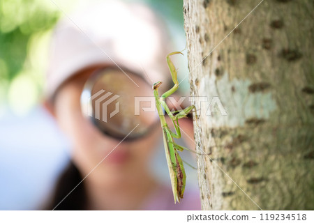 A girl observing a praying mantis with a magnifying glass 119234518