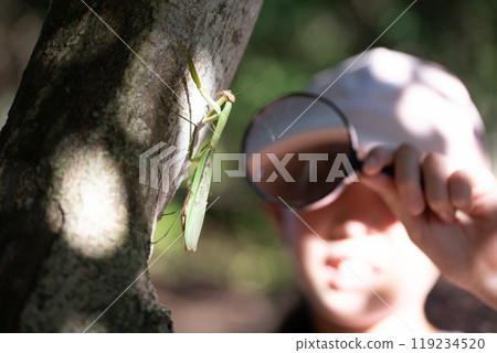A girl observing a praying mantis with a magnifying glass 119234520