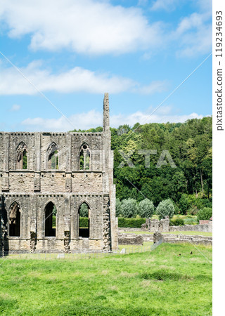 Tintern Abbey, a much crumbling historic stone site under a bright blue sky, in rural South Wales Tintern Abbey, a much crumbling historic stone site under a bright blue sky, in rural South Wales 119234693
