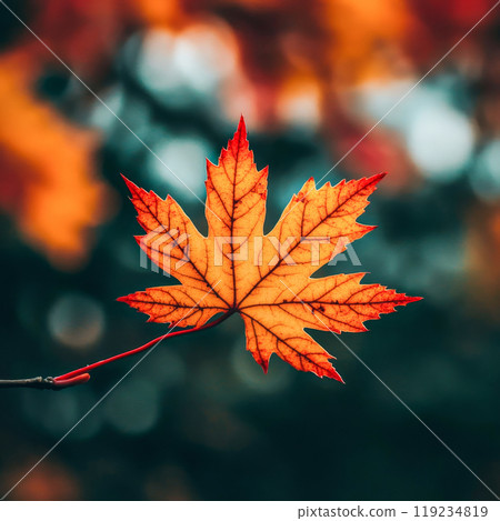 Vibrant autumn maple leaf with rich red-orange hues and visible vein texture 119234819
