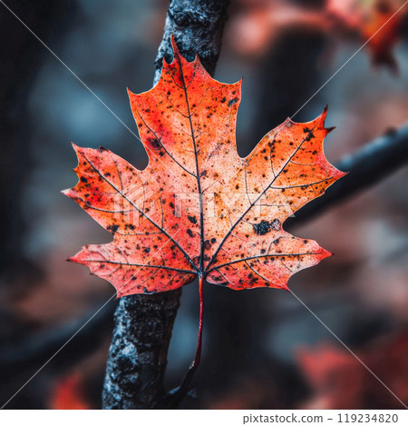 Vibrant autumn maple leaf with rich red-orange hues and visible vein texture Vibrant autumn maple leaf with rich red-orange hues and visible vein texture 119234820