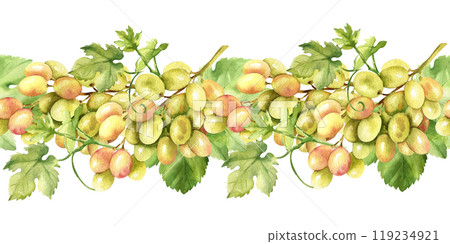 Watercolor seamless border with grape brunches and green leaves, fresh white and pink berries, illustration of ripe grapevine, composition for card, food and drink theme on white background Watercolor seamless border with grape brunches and green leaves, fresh white and pink berries, illustration of ripe grapevine, composition for card, food and drink theme on white background 119234921
