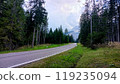 Towards the mountains passing through the woods 119235094