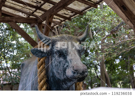 Cow statue at Ishikiri Tsurugiya Shrine Kaminosha (photographed in September 2024) Cow statue at Ishikiri Tsurugiya Shrine Kaminosha (photographed in September 2024) 119236038