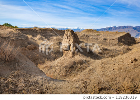 Ancient Penjikent ruins aerial panoramic view, Tajikistan 119236319