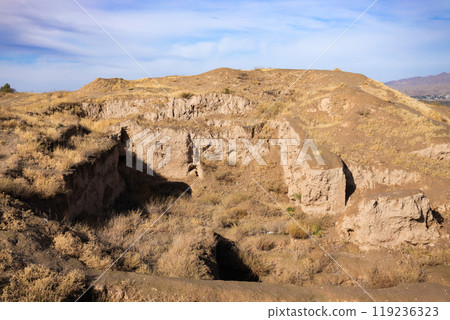 Ancient Penjikent ruins aerial panoramic view, Tajikistan 119236323
