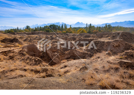 Ancient Penjikent ruins aerial panoramic view, Tajikistan 119236329