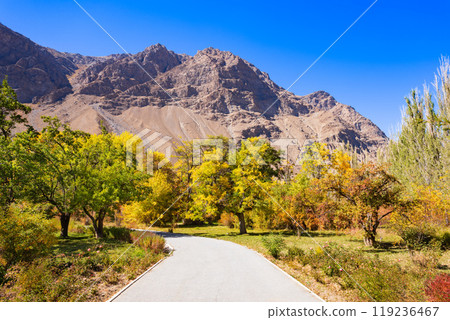 Botanical garden in Khorog city in Tajikistan Botanical garden in Khorog city in Tajikistan 119236467