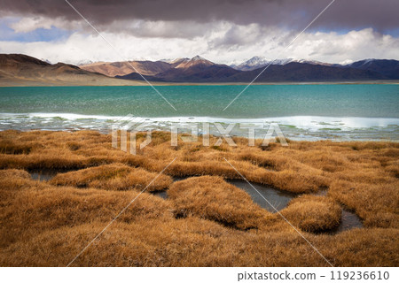 Sasykkul or Sasyk-kul lake in Murghab region, Tajikistan 119236610
