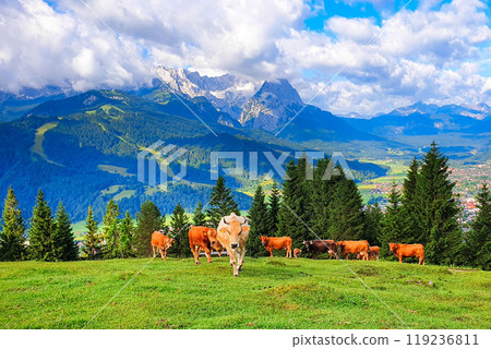 Garmisch-partenkirchen town aerial panoramic view, Germany 119236811