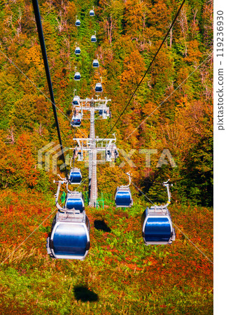 Cable car at Rosa Khutor, Sochi 119236930