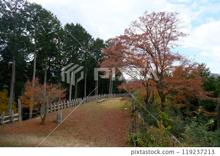 愛知縣豐田市_足助城的紅葉18_2023年12月 119237213