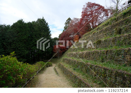 愛知縣豐田市_足助城的紅葉19_2023年12月 愛知縣豐田市_足助城的紅葉19_2023年12月 119237214