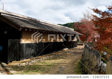 愛知縣豐田市_足助城的紅葉20_2023年12月 愛知縣豐田市_足助城的紅葉20_2023年12月 119237215