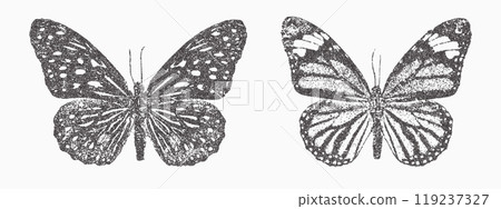 Butterfly vector illustration. Trendy stippling photocopy effect Butterfly vector illustration. Trendy stippling photocopy effect 119237327