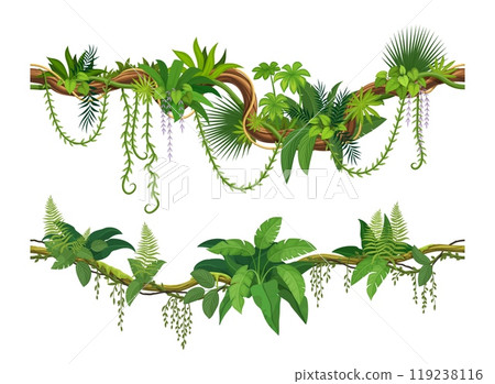 Lianas of tropical jungle forest, or ivy vine branches with monstera leaves, vector border frames. Cartoon tropical rainforest creeping plants or jungle liana and bindweed tree with climbing tendrils 119238116