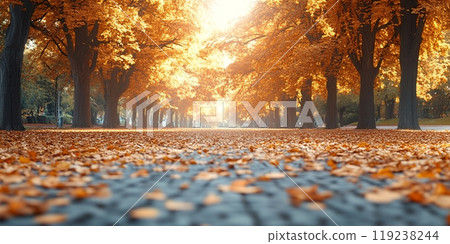 A path lined with trees in autumn, sunlight filtering through the branches. 119238244