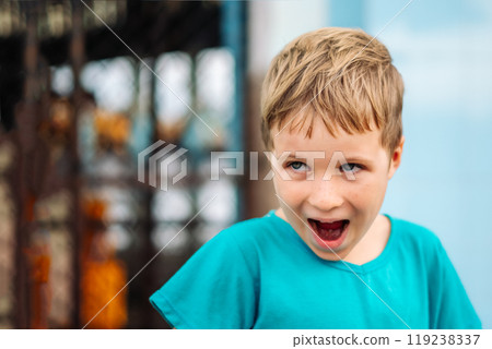 Portrait boy. Happy childhood, sincere emotions, joy of life, family education 119238337