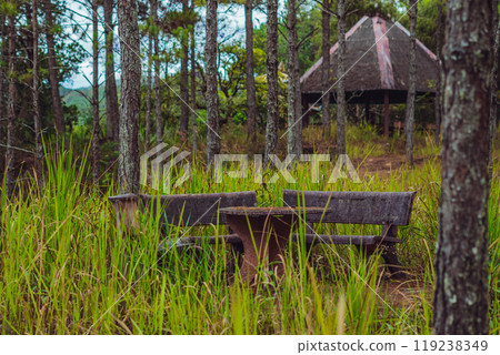Nature coniferous forest park view background. Gazebo gable roof canopy stone marble table bench. Summer sun day tree grass shadow sky meadow. Peace life style leisure simple secluded memories 119238349