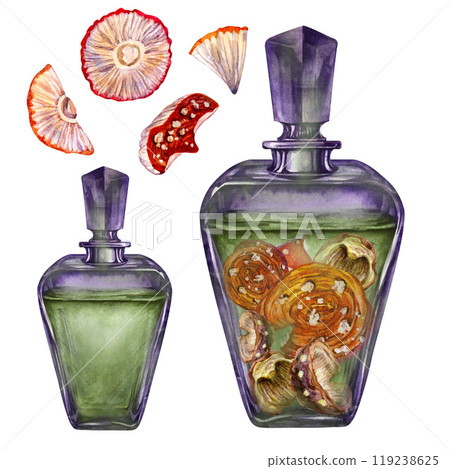 Transparent dark glass vintage bottle with liquid and poisonous mushrooms fly agarics. Watercolor illustration template for witch magic potion, alchemy, Halloween, medicine, fairy dreams, aromatherapy Transparent dark glass vintage bottle with liquid and poisonous mushrooms fly agarics. Watercolor illustration template for witch magic potion, alchemy, Halloween, medicine, fairy dreams, aromatherapy 119238625