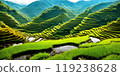 Green rice terraces bask in sunset glow 119238628