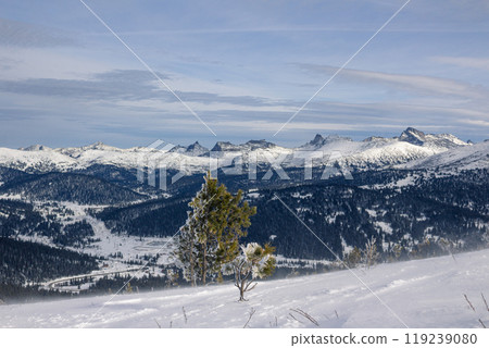 Winter mountain landscape, coniferous tree, peaks in the distance Winter mountain landscape, coniferous tree, peaks in the distance 119239080