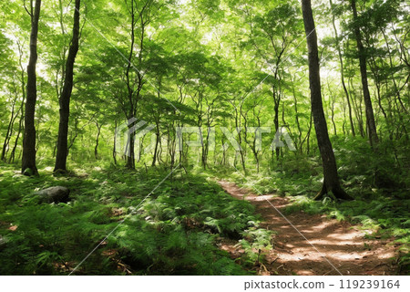 Go through the fresh green forest Go through the fresh green forest 119239164