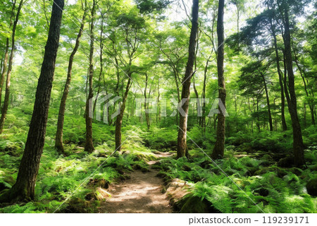 Go through the fresh green forest Go through the fresh green forest 119239171